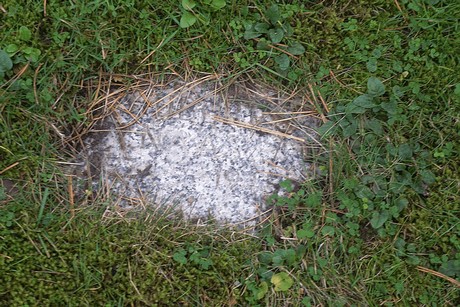 Birkesdorf