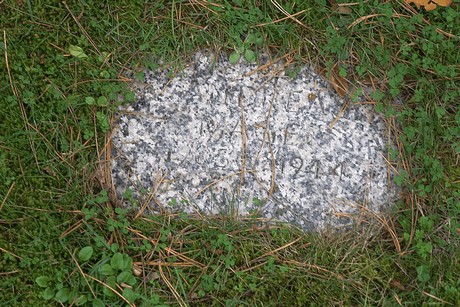 Birkesdorf