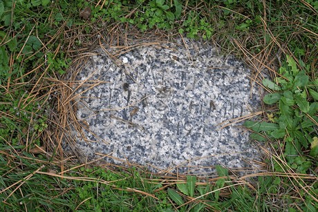 Birkesdorf