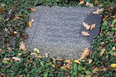 Birkesdorf