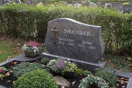 Birkesdorf