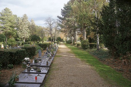 Birkesdorf