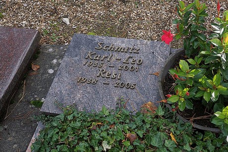 Birkesdorf