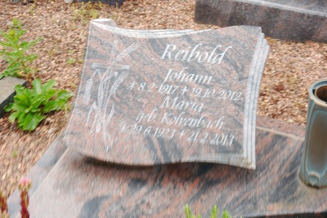 Bleibuir