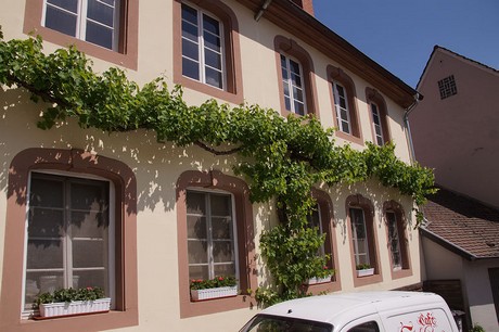 blieskastel