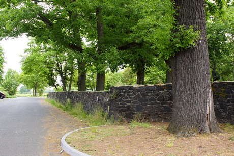 Bornheim