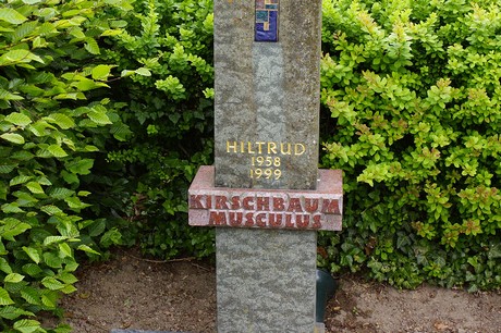 Bornheim