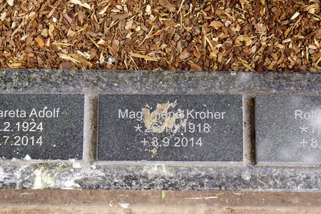 Bornheim