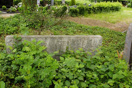 Bornheim