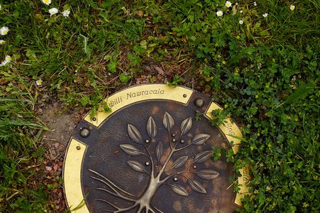 Bornheim