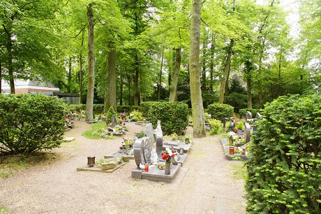Bornheim