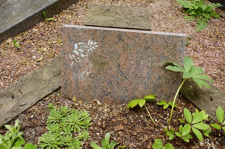 Bornheim