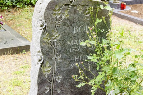 Bornheim