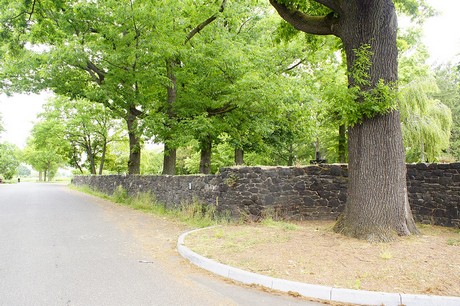 Bornheim