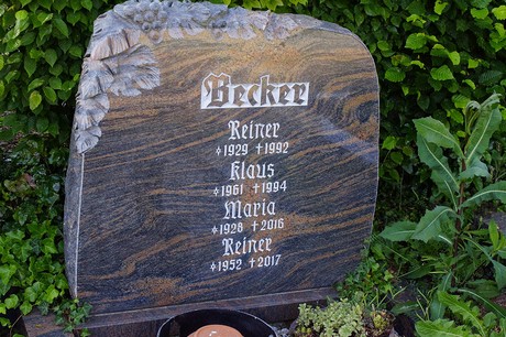 Brenig