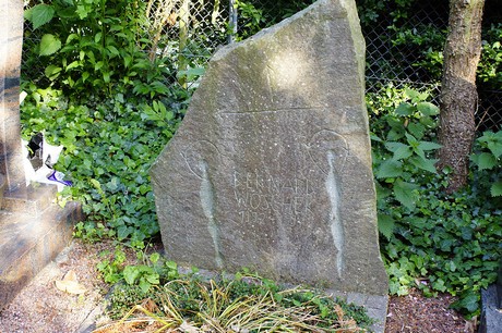 Brenig