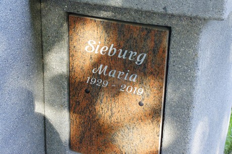 Brenig