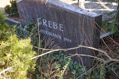 Broich-Bedburg