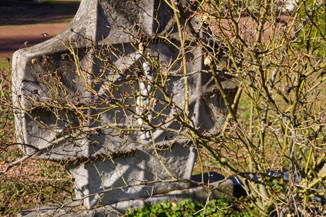 Broich-Bedburg
