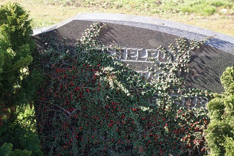 Broich-Bedburg