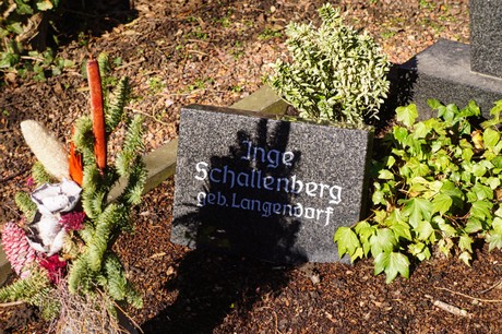 Broich-Bedburg