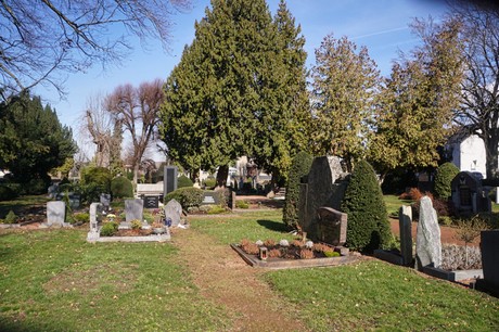 Broich-Bedburg