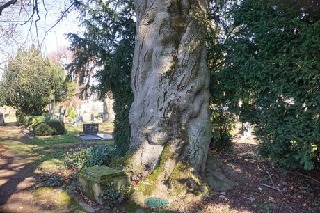 Broich-Bedburg