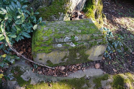 Broich-Bedburg