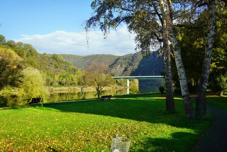 Bruttig-Fankel