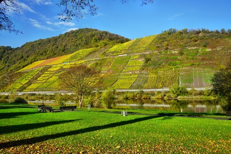 Bruttig-Fankel