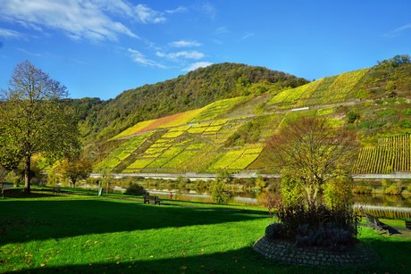 Bruttig-Fankel