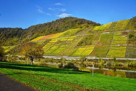 Bruttig-Fankel