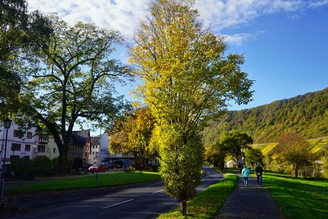 Bruttig-Fankel
