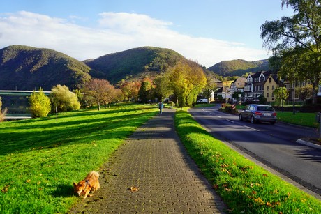 Bruttig-Fankel