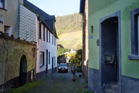 Bruttig-Fankel
