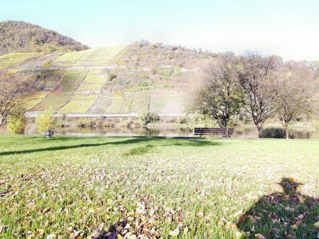Bruttig-Fankel