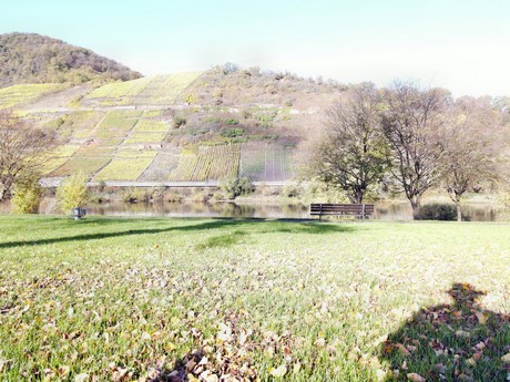 Bruttig-Fankel