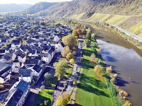 Bruttig-Fankel