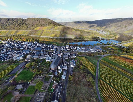 Bruttig-Fankel