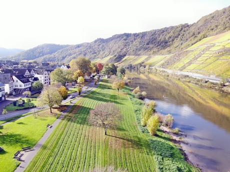 Bruttig-Fankel