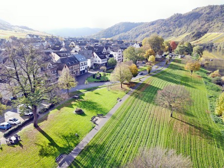 Bruttig-Fankel