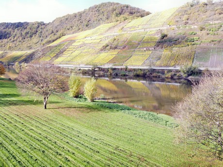 Bruttig-Fankel