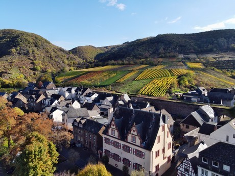 Bruttig-Fankel