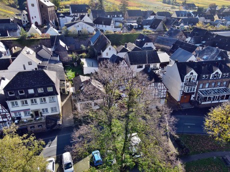 Bruttig-Fankel