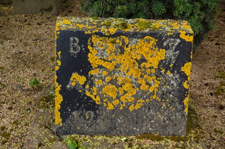 Buervenich