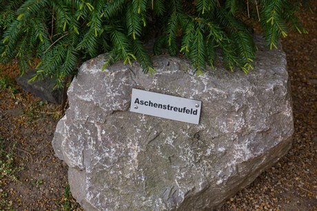 Buervenich