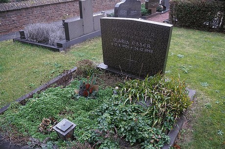 Buesdorf