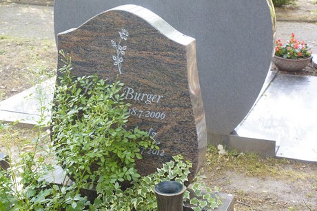 Buschdorf