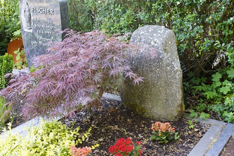 Buschdorf