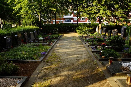 Buschdorf